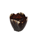 Tiramisu cups
